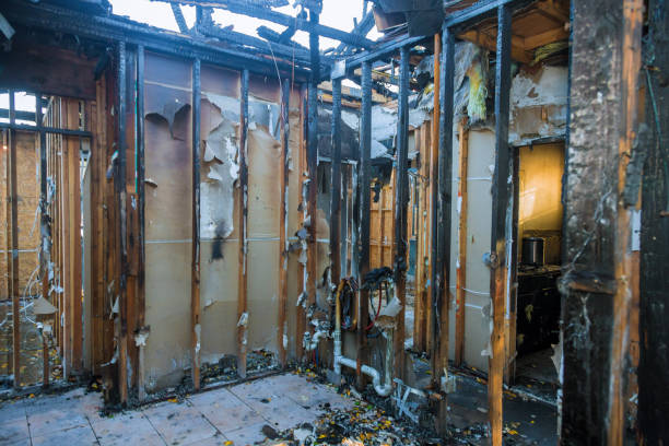 Professional Fire Damage Removal technician working in Buna, TX